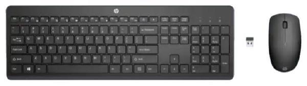 HP 235 Wireless Mouse and Keyboard Combo
